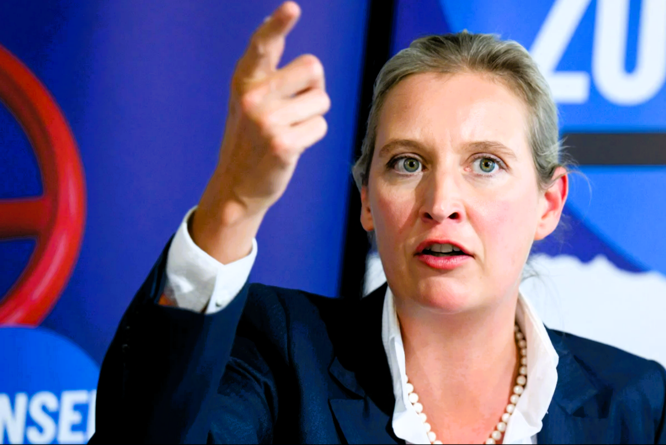 AfD jetzt zweitstärkste Partei in Deutschland! Neuer Umfrage-Hammer - Grüne und SPD im Schock