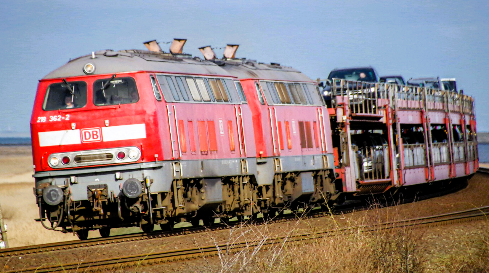 Autozug nach Sylt verunglückt! Zug rast in Rinderherde  - 10 Tiere tot, Passagiere geschockt